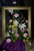 Click here to view the 'Flower Festival 2014' album